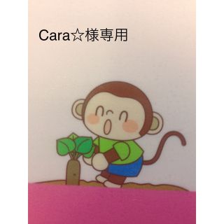 Cara☆様専用　7kg(フルーツ)