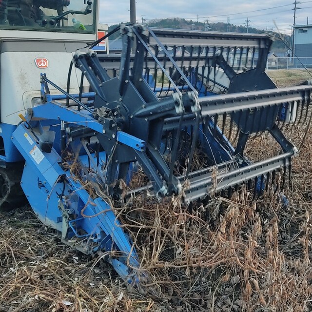 クラサキ様専用 食品/飲料/酒の食品(野菜)の商品写真