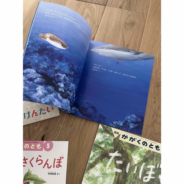 美品☆福音館絵本４冊セット エンタメ/ホビーの本(絵本/児童書)の商品写真