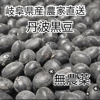 丹波黒豆(野菜)