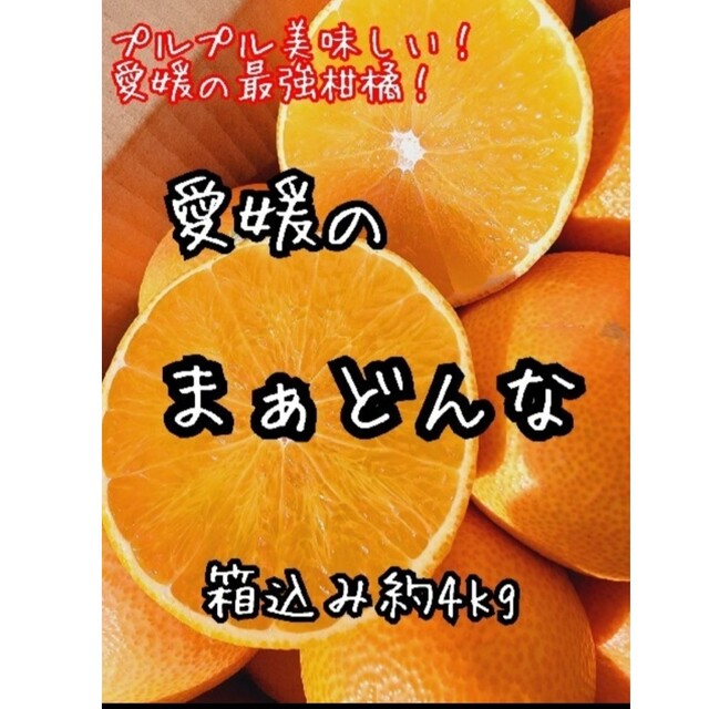 愛媛県産 栗M～Lサイズ 6㎏