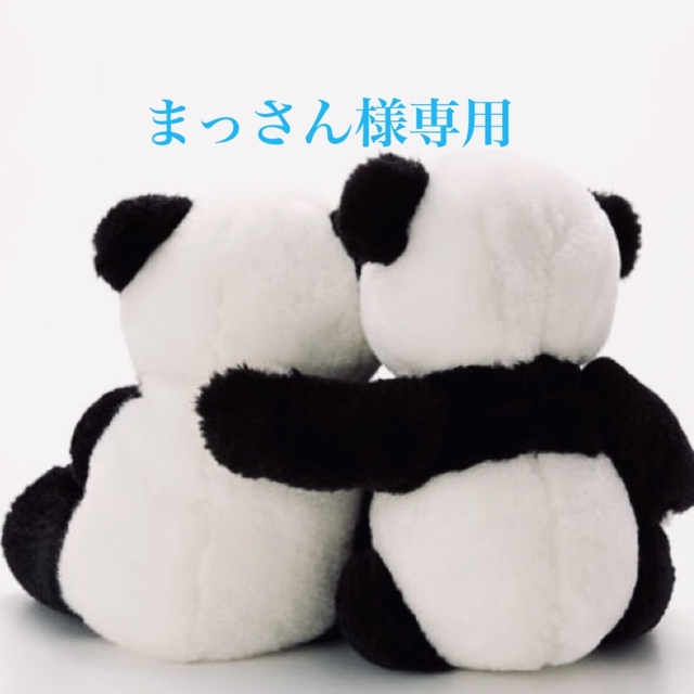 まっさん様専用 neuroid.uprrp.edu