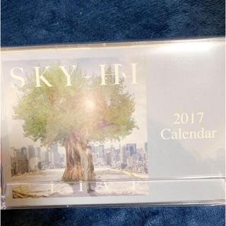 スカイハイ(SKYHi)のSKY-HI 卓上カレンダー(ミュージシャン)