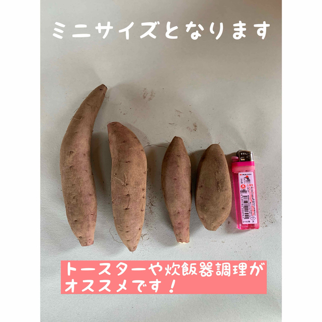 千葉県産さつまいも　熟成シルクスイート  ２Sサイズ　5kg 食品/飲料/酒の食品(野菜)の商品写真