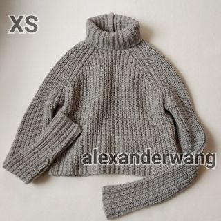 アレキサンダーワン(Alexander Wang)の美品 (XS)アレキサンダーワン タートルネックセーター ローゲージニット(ニット/セーター)