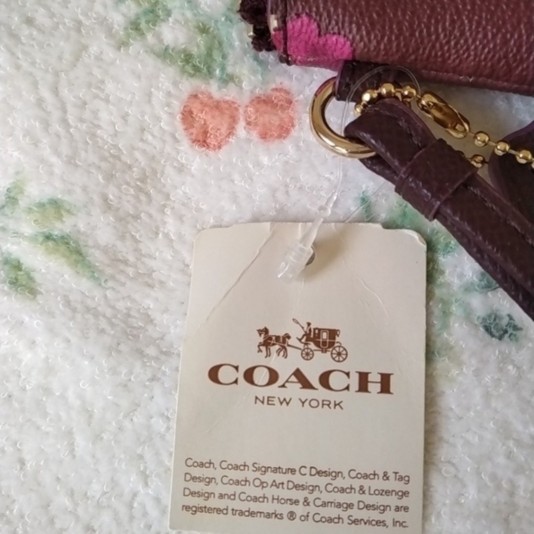 新品未使用 COACH マルチケース