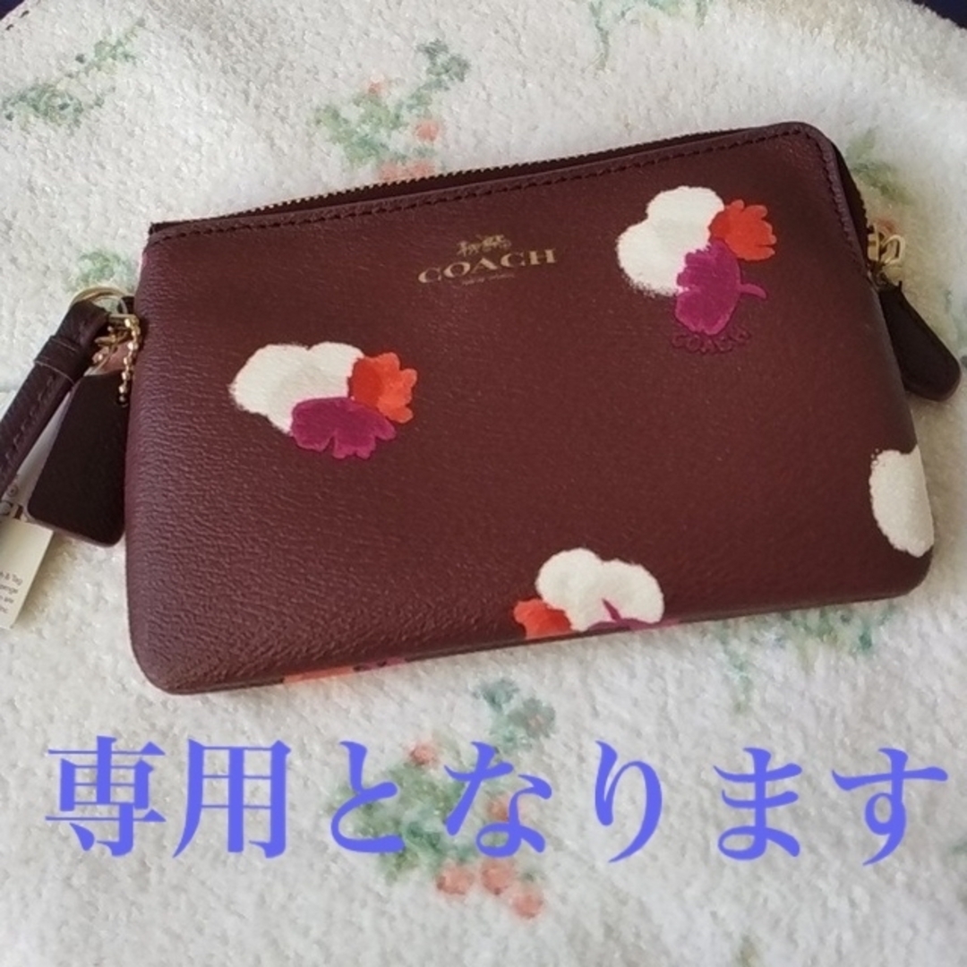 COACH(コーチ)の新品未使用　COACH　マルチケース レディースのファッション小物(ポーチ)の商品写真