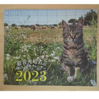 ベネッセ(Benesse)のねこのきもち　ネコこよみカレンダー 2023(カレンダー/スケジュール)