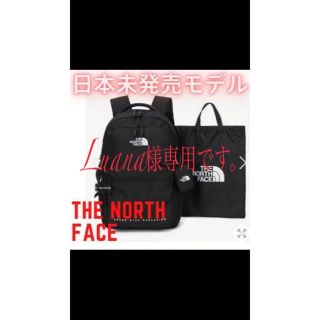 ザノースフェイス(THE NORTH FACE)のLuana様専用　DUAL POCKET BACKPACK(リュック/バックパック)