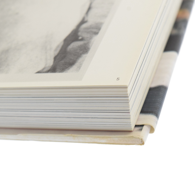 SUPREME シュプリーム Rizzoli 15周年記念 Book Vol.1 写真集 リッゾーリ ハードカバー ブック 本 マルチ