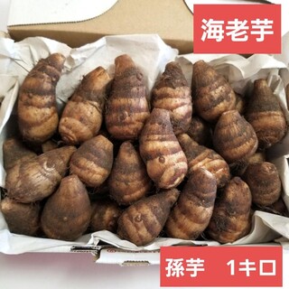 海老芋　孫芋　1キロ(野菜)