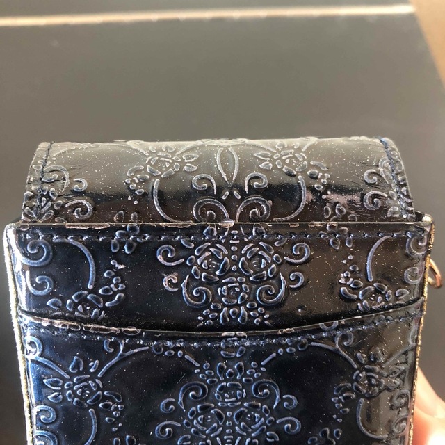 ANNA SUI(アナスイ)のアナスイ　ANNA SUI タバコケース　シガレットケース レディースのファッション小物(その他)の商品写真