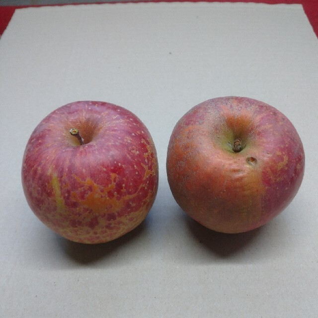 W-3 サンふじ訳あり10kg 長野県産りんご 食品/飲料/酒の食品(フルーツ)の商品写真