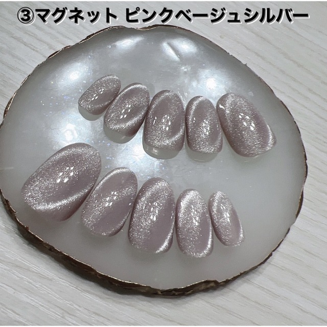 ③ネイルチップ ハンドメイド マグネット ピンクベージュシルバー bluke.com.br