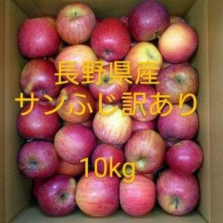 W-4 サンふじ訳あり10kg 長野県産りんご(フルーツ)