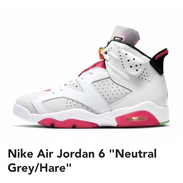 Nike Air Jordan 6 Neutral Glay Hare