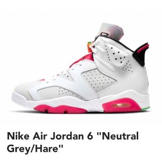 ナイキ(NIKE)のNike Air Jordan 6 Neutral Glay Hare(スニーカー)