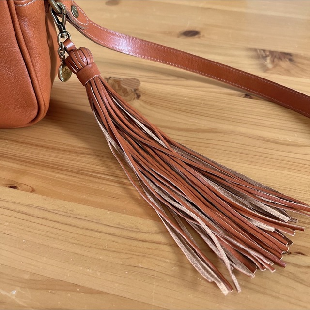 IL BISONTE - 極美品!人気品 正規品 イルビゾンテ ショルダーバッグ