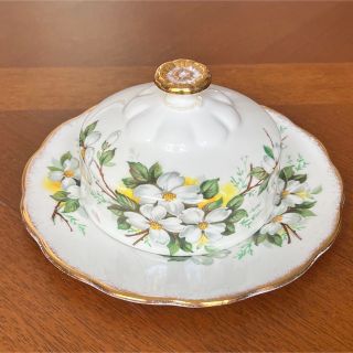 ロイヤルアルバート(ROYAL ALBERT)の【レア美品】ロイヤルアルバート★白ハナミズキ★バターディッシュ(食器)