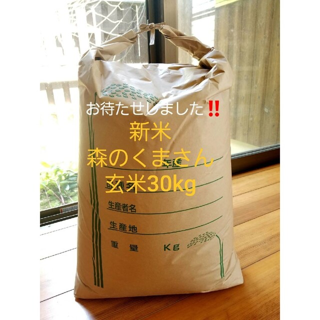 超お買い得！めっちゃうまい‼️淡路島産森のくまさん❗新米玄米30kg食品/飲料/酒