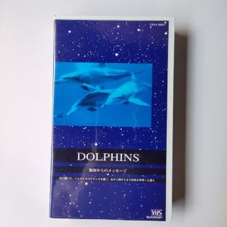 DOLPHINS   小笠原 海宙からのメッセージ VHS(その他)