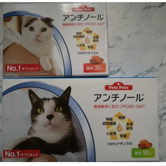 アンチノール 猫用 120粒