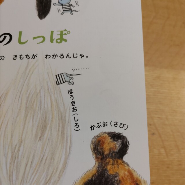 ねこのずかん エンタメ/ホビーの本(絵本/児童書)の商品写真