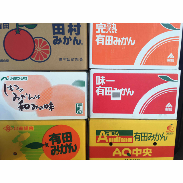 和歌山県 訳あり傷あり有田みかん約20Kg  食品/飲料/酒の食品(フルーツ)の商品写真