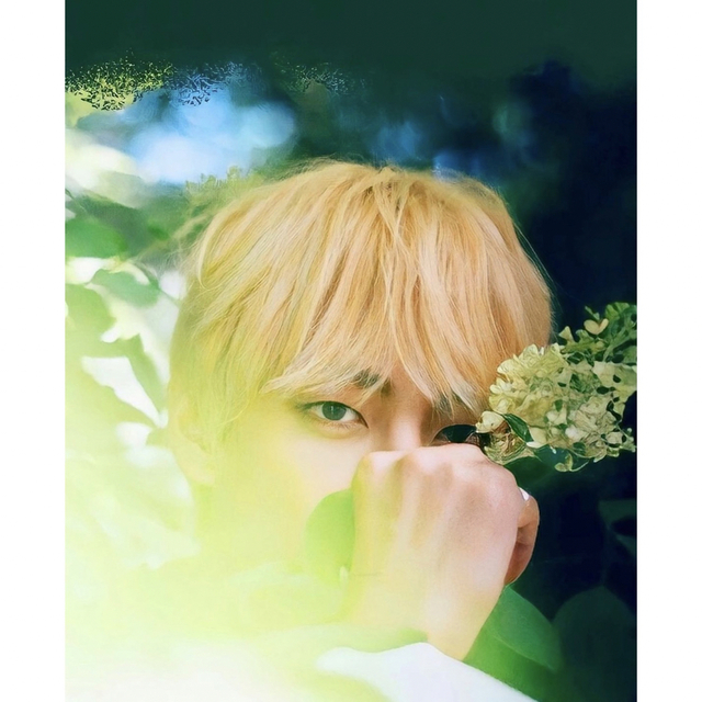 直販限定 BTS 防弾少年団 TAEHYUNG V フォトフレーム A4 額縁 テヒョン