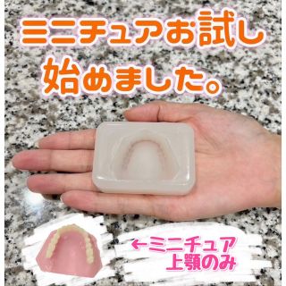 【お試し用】義歯チョコ(ミニチュア上顎のみ)入れ歯 型 シリコンモールド 食品用(その他)