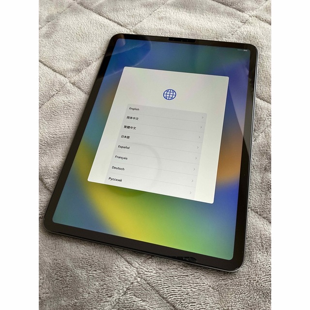 新品 iPad Pro 11ｲﾝﾁ 第1世代 WiFi 64GB ｽﾍﾟｰｽｸﾞﾚｲ | www.tunalitec.com