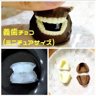 義歯チョコ (ミニチュア) シリコンモールド 入れ歯チョコ(その他)