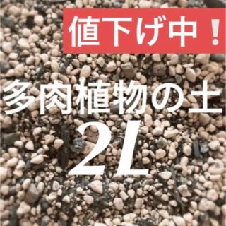 値下げ中❣️多肉植物　サボテンの土　約2リットル 即購入歓迎❣️(その他)