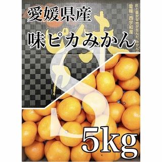 残り僅か！！最上級高級蜜柑！愛媛県産【味ピカみかん】Sサイズ5kg(フルーツ)