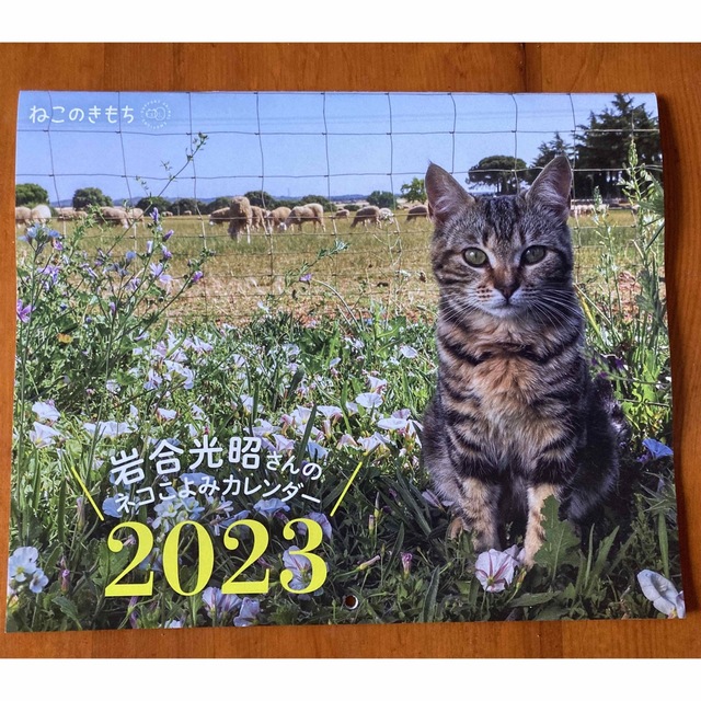 Benesse(ベネッセ)のねこのきもちI月号付録 カレンダー インテリア/住まい/日用品の文房具(カレンダー/スケジュール)の商品写真