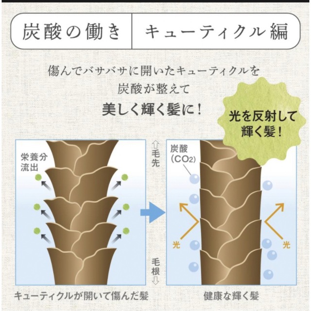 TANSANスカルプDRプロ３個セット、東洋炭酸研究所、炭酸シャンプー