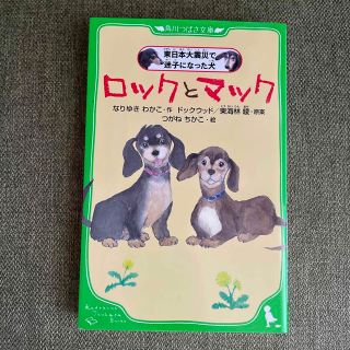 ロックとマック 東日本大震災で迷子になった犬(絵本/児童書)