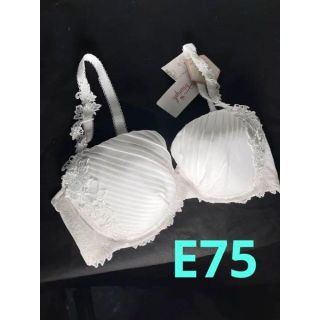 ワコール(Wacoal)のトリンプ　E75 ブラジャー(ブラ)