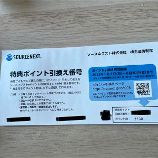 ソースネクスト　株主優待　2500ポイント(その他)