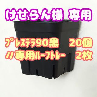 【スリット鉢】プレステラ90黒20個・ハーフトレー2枚 多肉植物 プラ鉢(プランター)