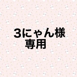 畑で採れた大粒金柑 500g  無農薬‼️ ご近所さんからも好評❗️お早目に＾＾(フルーツ)