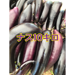 野菜　なす　10キロ　宮崎県産(野菜)