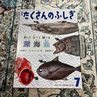 月刊 たくさんのふしぎ 2021年 07月号(絵本/児童書)