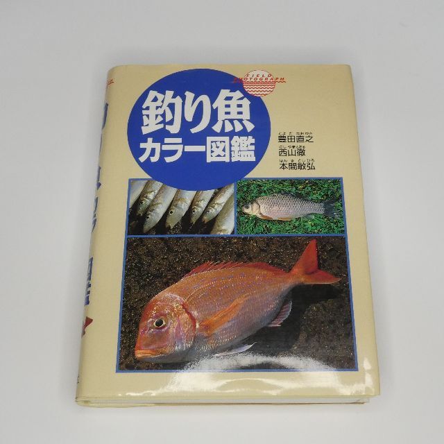 【美品】釣り魚カラー図鑑 釣った魚がすぐわかる A6変型判（ビニール装丁） エンタメ/ホビーの本(趣味/スポーツ/実用)の商品写真