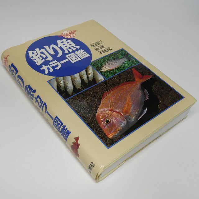 【美品】釣り魚カラー図鑑 釣った魚がすぐわかる A6変型判（ビニール装丁） エンタメ/ホビーの本(趣味/スポーツ/実用)の商品写真