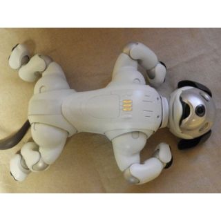 ソニー(SONY)の【美品】SONY aibo 本体（ERS-1000備品完備）可愛がってくれる方へ(その他)