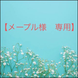 シセイドウ(SHISEIDO (資生堂))のアルティスト　ヘアカラー　白髪染め　ホワイトブリーチ【９）TG）グレージュ×２】(カラーリング剤)