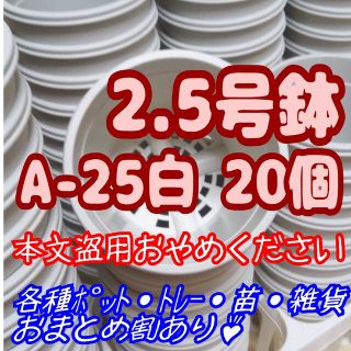 プラ鉢2.5号鉢【A-25】20個 スリット鉢 丸 プレステラ 多肉植物(プランター)