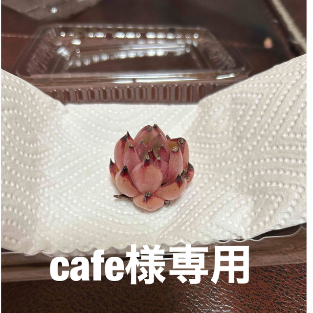 cafe様専用 ハンドメイドのハンドメイド その他(その他)の商品写真