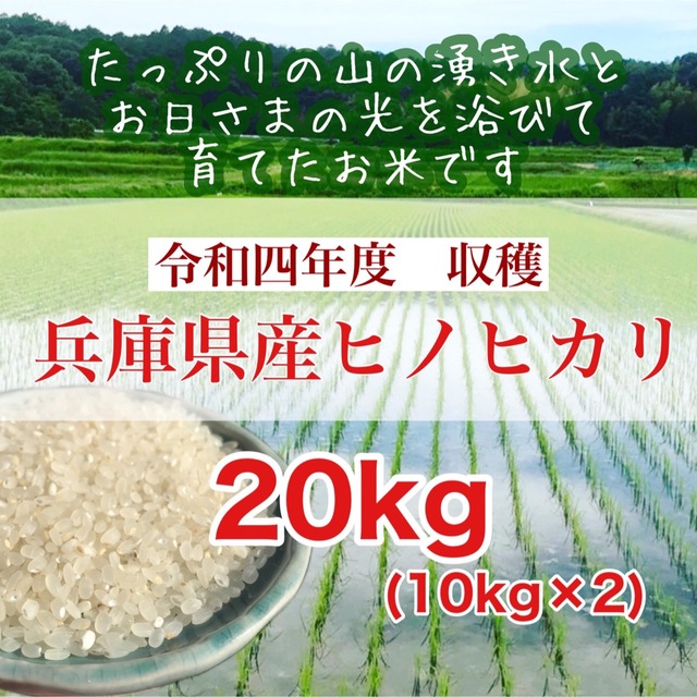 農家直売 奈良県産ひのひかり米 令和4年度産5キロ pechinecas.gob.pe